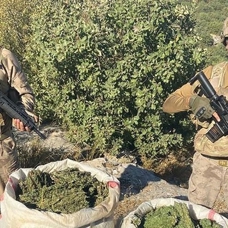 Eren Abluka-34 Narko Terör operasyonlarında 493 kilogram kubar esrar ele geçirildi