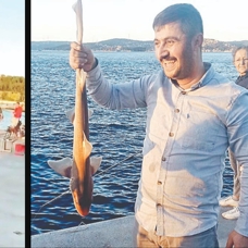 Beykoz'da oltayla köpek balığı yakaladı