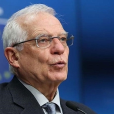 AB Yüksek Temsilcisi Borrell "orman" benzetmesi nedeniyle eleştiriliyor