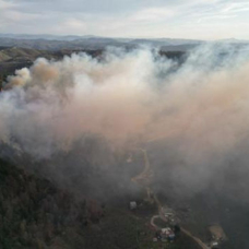 Sakarya'da orman yangını: 4 saatte kontrol altına alındı