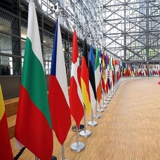 Avrupa Konseyi, Danimarka'yı Paludan'a alan açmakla eleştirdi