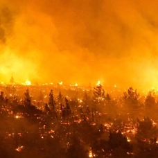 Şili'de orman yangınlarında ölenlerin sayısı 13'e yükseldi