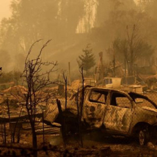 Şili'de orman yangınları: Can kaybı 22 oldu