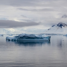 Antarktika'daki deniz buzu 43 yılın en düşük seviyesine geriledi