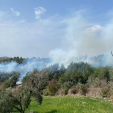 Osmaniye'de ormanlık alanda yangın