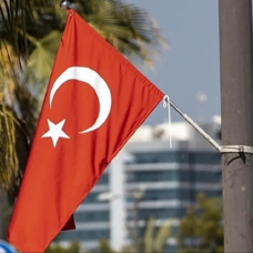 BAE'de Türkiye ile ilişkilerin yıl dönümü kutlandı