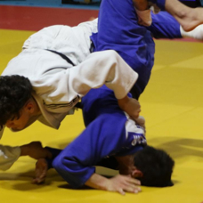 Milli judoculardan Gençler Avrupa Kupası'nın ilk gününde 4 madalya