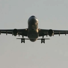 Hindistan'da uçakta yolcuyu akrep soktu