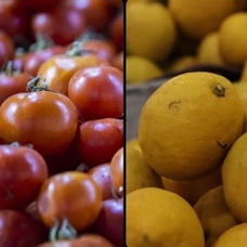 Türkiye nisanda 235,7 milyon dolarlık yaş meyve sebze ihraç etti