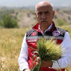"Buğdayda beklenen 21 milyon ton rekolte Türkiye'nin ihtiyacının karşılanması noktasında yeterli"
