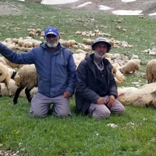 20 bin liraya çoban bulamadılar