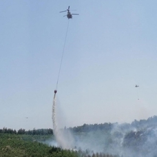 İzmir'de çıkan orman yangını kontrol altına alındı 