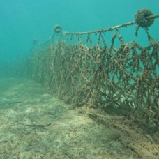 Hayalet ağların endemik deniz canlılarına verdiği zarar akademik çalışmayla ortaya çıktı