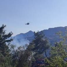 Adana'nın Kozan ilçesindeki çıkan yangını söndürmek için ekiplerin müdahalesi sürüyor