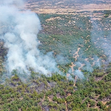 Diyarbakır'da çıkan orman yangınını söndürme çalışmaları sürüyor