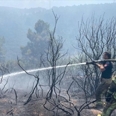 Sultangazi'deki orman yangını kontrol altına alındı
