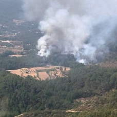 Muğla'da çıkan orman yangını, ekiplerin müdahalesi sonucu kontrol altına alındı