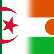 Cezayir'den Nijer'e "askeri müdahale" uyarısı