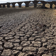 Avrupa'yı sıcaklar esir aldı: İspanya'da bazı bölgelerde kuraklık alarmı verildi