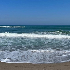 Sakarya ve Kocaeli sahillerinde olumsuz deniz koşulları nedeniyle denize girmek yasaklandı