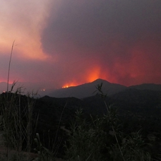GKRY, orman yangınlarıyla mücadele için çevre ülkelerden yardım talebinde bulundu