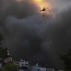 Yunanistan'daki orman yangıları nedeniyle Attika bölgesinde ormanlık alanların yüzde 23'ü yandı