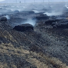 Tekirdağ'da meydana gelen arazi yangınında 250 dönüm tarım arazisi kül oldu