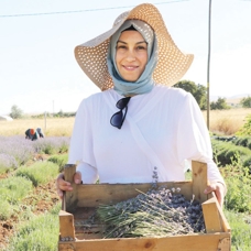 Atıl araziyi tabloya çevirdi