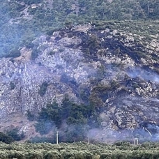 Manisa'da orman yangını bir saatte kontrol altına aldı