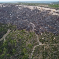 Fransa'da belediye başkanı, orman yangınının yayılmasından halkı sorumlu tuttu