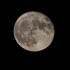 Rus uzay aracı Luna-25 Ay'ın yüzeyine çarptı