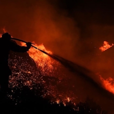 Yunanistan'da yangınların devam ettiği Meriç Bölgesi'ndeki ormanlık alanda 18 kişinin cesedi bulundu
