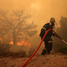 Yunanistan'da yangınların 5'inci günü 