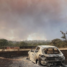 Yunanistan'ın Meriç Bölgesi'nde yanan ormanlık alanda ceset bulundu