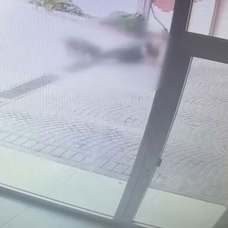 Bakırköy'deki pitbull saldırısının görüntüsü ortaya çıktı