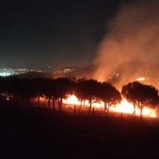 Maltepe'deki yangın kontrol altına alındı