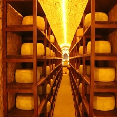 Peynir müzesi
