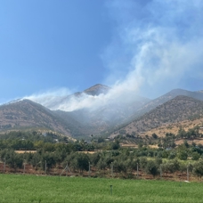 Kahramanmaraş'ta orman yangını: Havadan ve karadan müdahale ediliyor