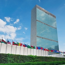 BM'ye adil temsil ve işlevsellik için reform çağrısı