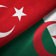 Türkiye ile Cezayir ortak çalışma grubu kuruyor