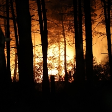 Çekmeköy'de ormanlık alanda çıkan yangın ekiplerin müdahalesi sonucu söndürüldü 
