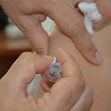 Bakan Koca'dan "grip aşısı" uyarısı