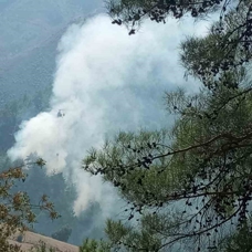 Adana'da çıkan yangınlar ekiplerin müdahalesi ile kontrol altına alındı