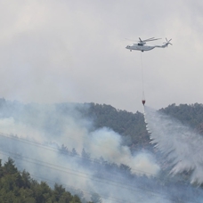 Hatay'daki orman yangınının sigara izmaritinden kaynaklandığı öne sürüldü