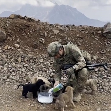 Milli Savunma Bakanlığından "Hayvanları Koruma Günü"ne özel video