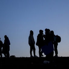 Didim'de 24 kaçak göçmen yakalandı