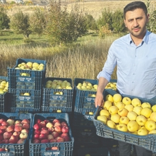 İran'dan gelen fideler meyve verdi