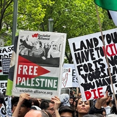 Avustralya'daki belediyeden Filistin bayrağını göndere çekme kararı
