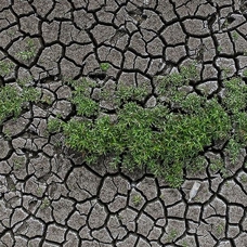 İklim değişikliğinin artan etkileri, tarımda daha fazla adaptasyon politikası gerektiriyor