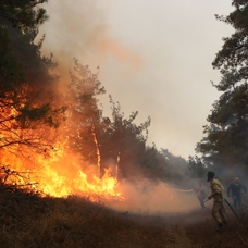Çanakkale'de orman yangını: Bakan Yumaklı bölgeye gidiyor